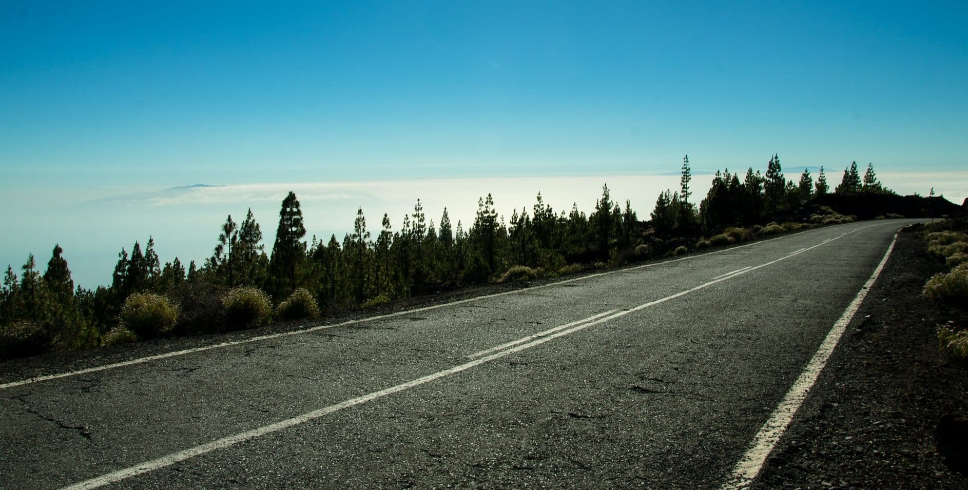 Read more about the article Nova Normativa no Transporte Internacional: Medição de Combustível e de Emissões de CO2